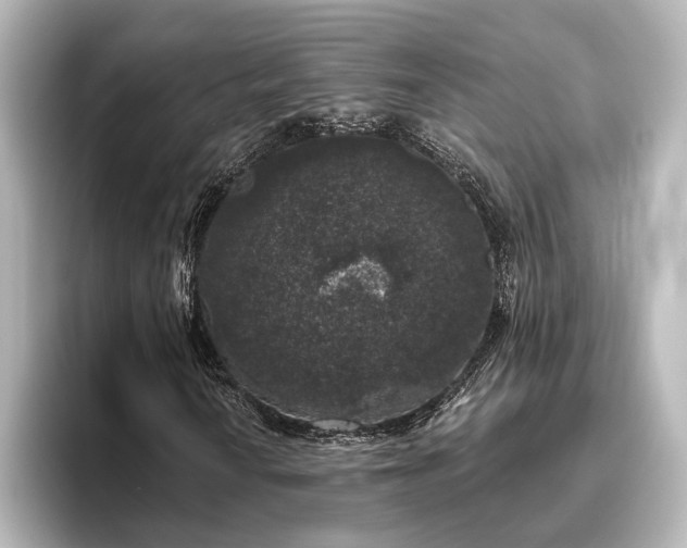X0000096491010200801241500