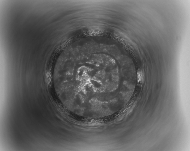 X0000096491011200801241500
