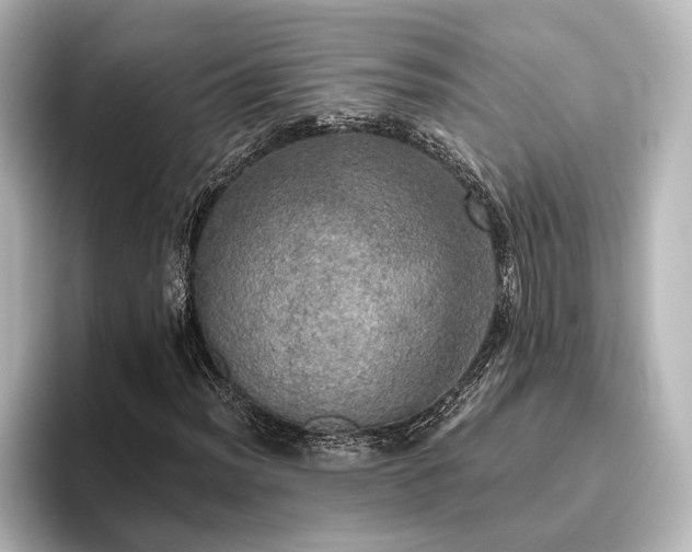 X0000096491012200801241500