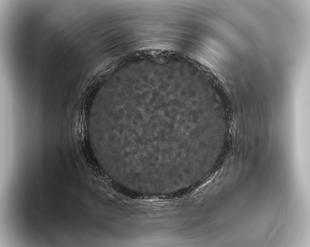 X0000096491014200801241500