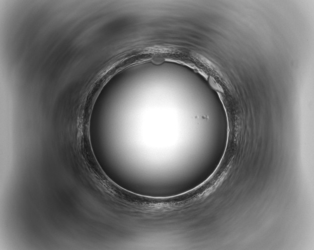 X0000096491017200801241500