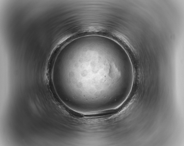 X0000096491018200801241500