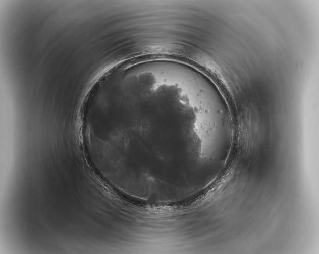 X0000096491019200801241500