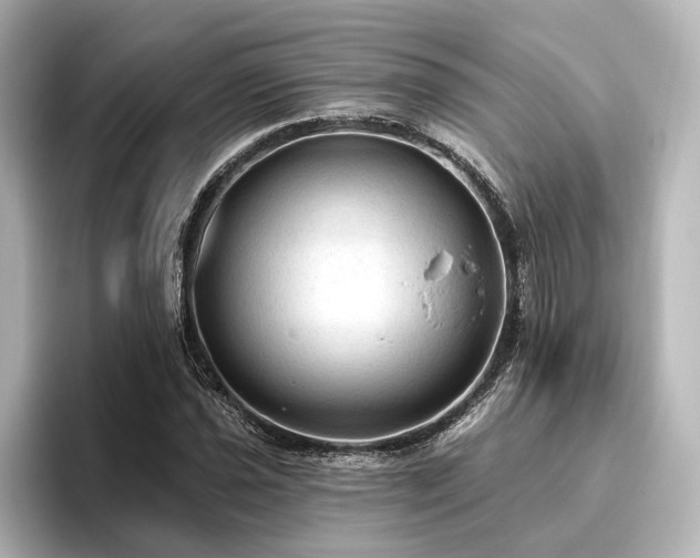 X0000096491021200801241500
