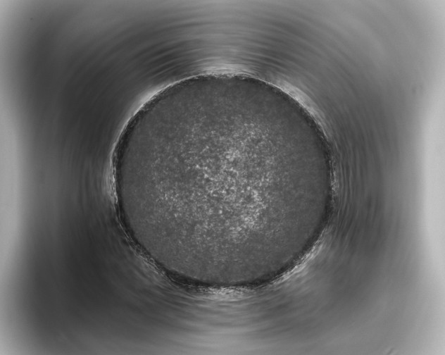 X0000096491022200801241500
