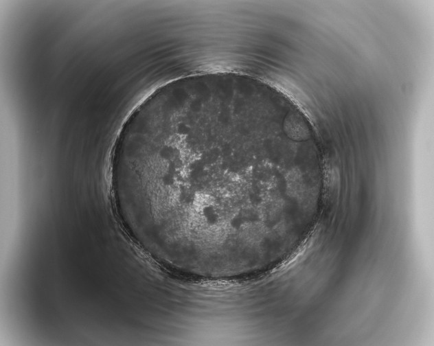 X0000096491023200801241500