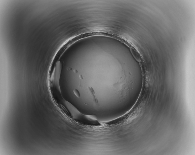 X0000096491024200801241500
