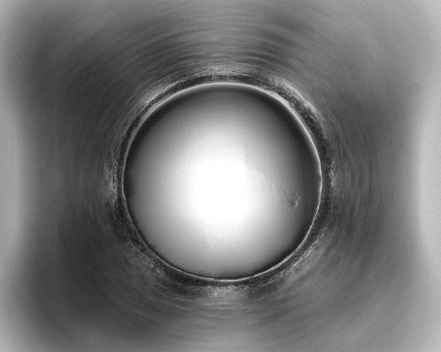 X0000096491025200801241500