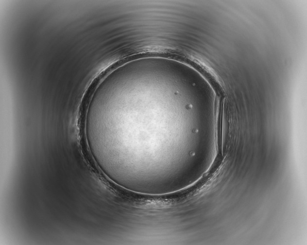 X0000096491026200801241500