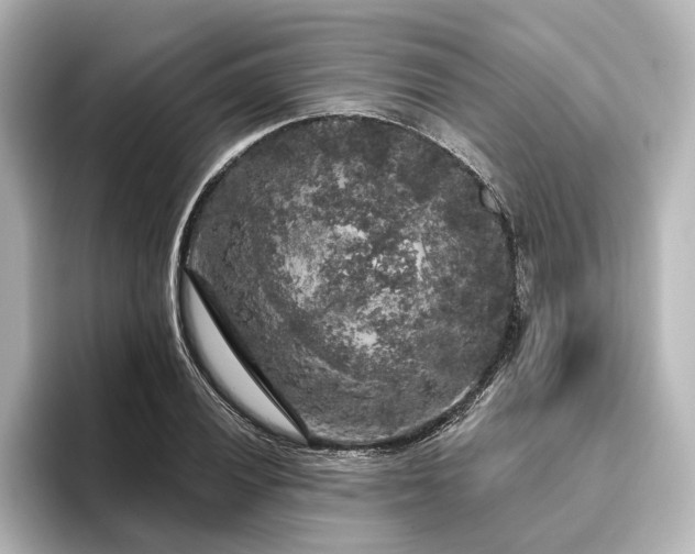 X0000096491028200801241500