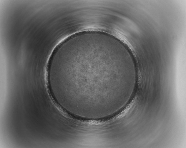 X0000096491029200801241500