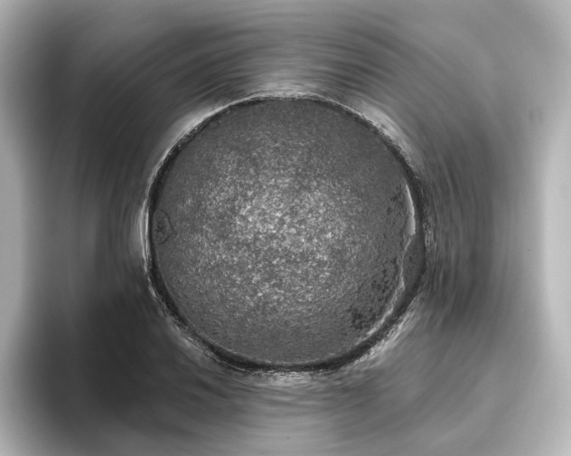 X0000096491030200801241500