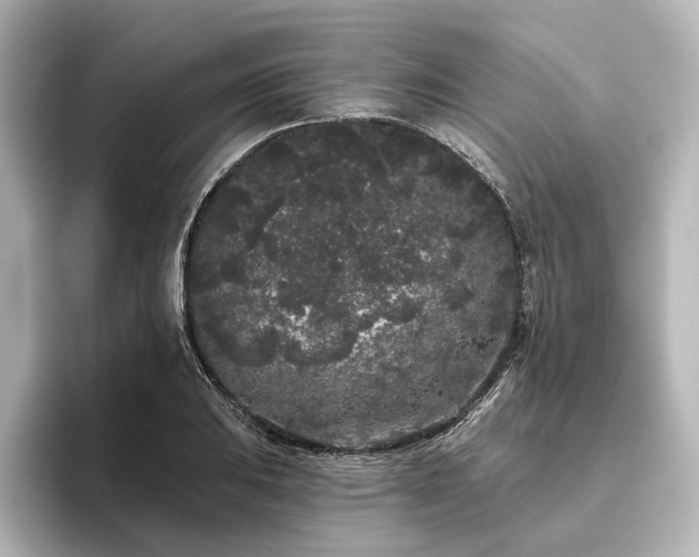 X0000096491031200801241500