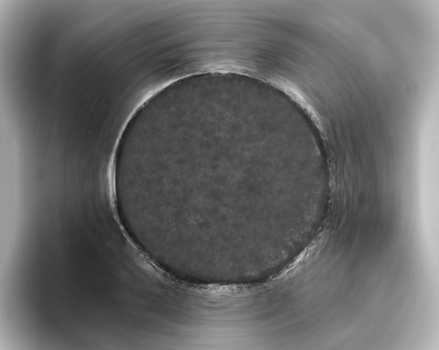 X0000096491032200801241500