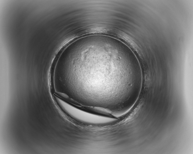 X0000096491034200801241500