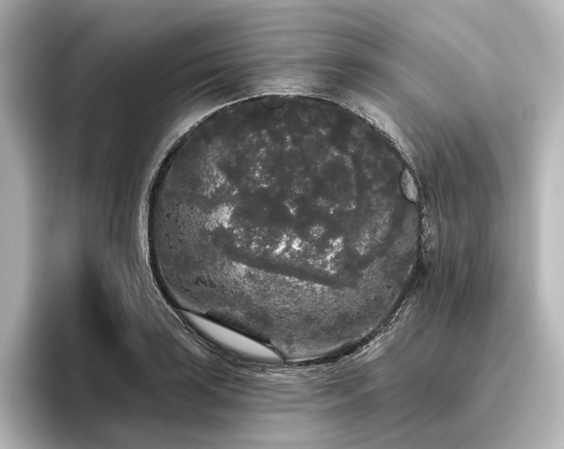 X0000096491035200801241500