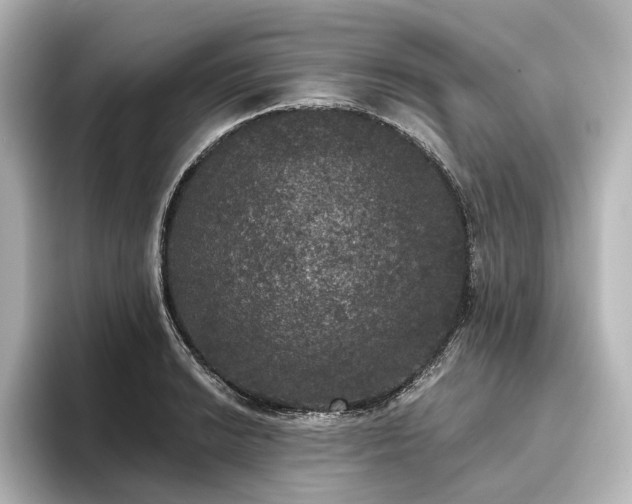 X0000096491038200801241500
