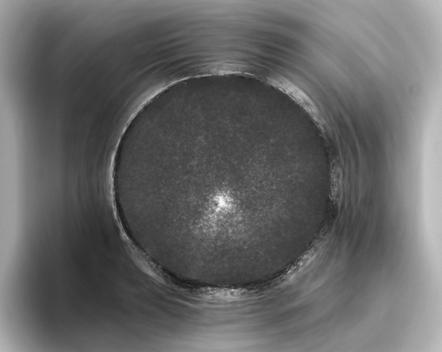 X0000096491039200801241500