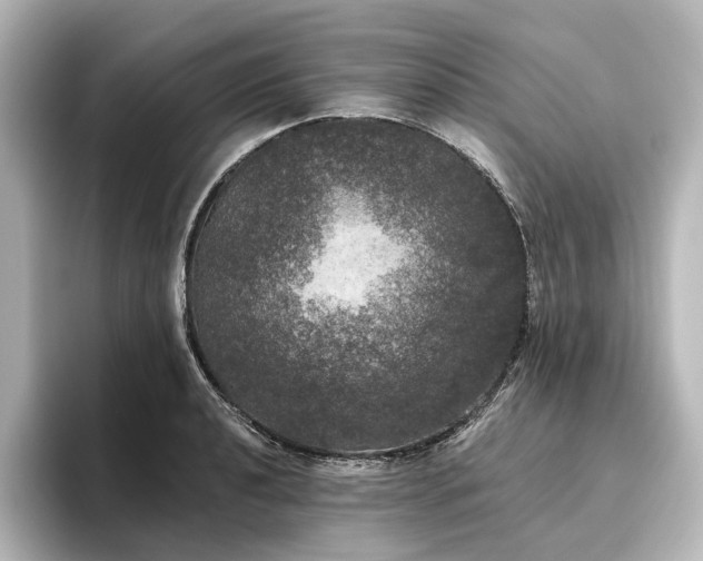 X0000096491040200801241500