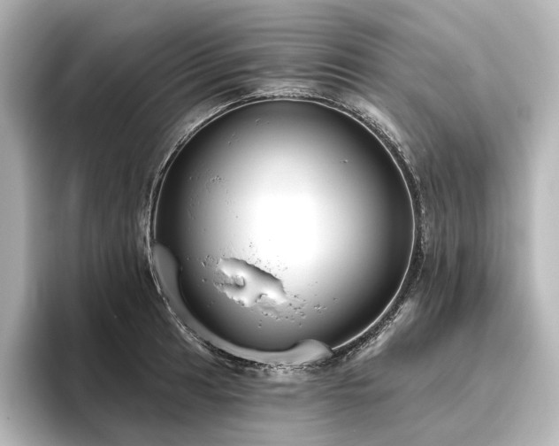 X0000096491041200801241500