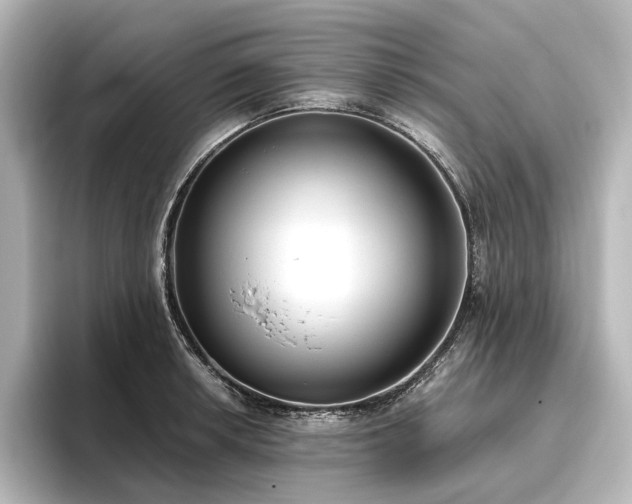 X0000096491042200801241500
