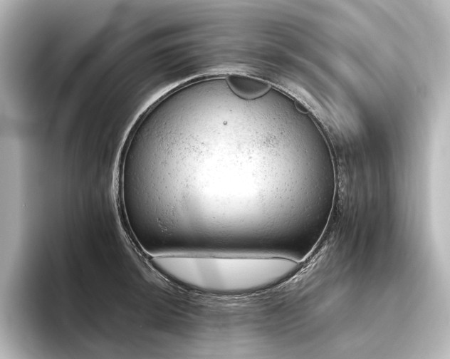 X0000096491044200801241500
