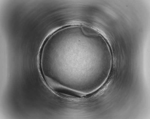 X0000096491045200801241500