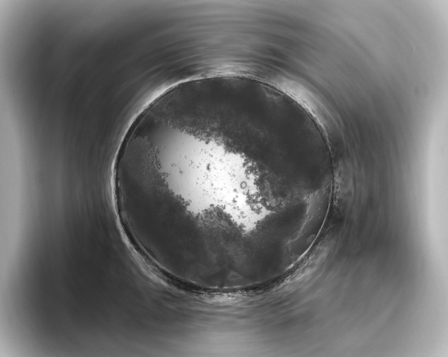 X0000096491047200801241500