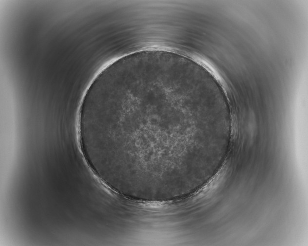 X0000096491048200801241500