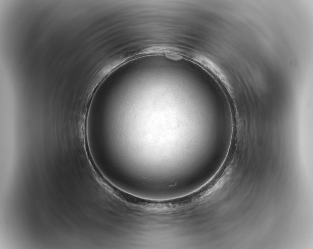 X0000096491049200801241500