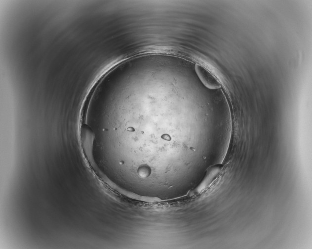 X0000096491050200801241500
