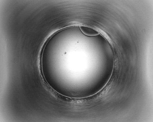 X0000096491051200801241500