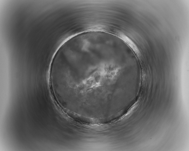 X0000096491052200801241500