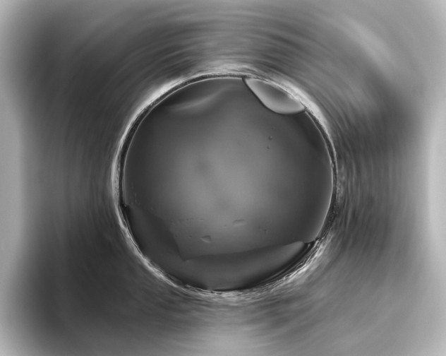 X0000096491053200801241500