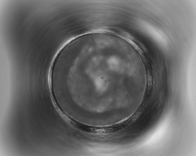 X0000096491054200801241500