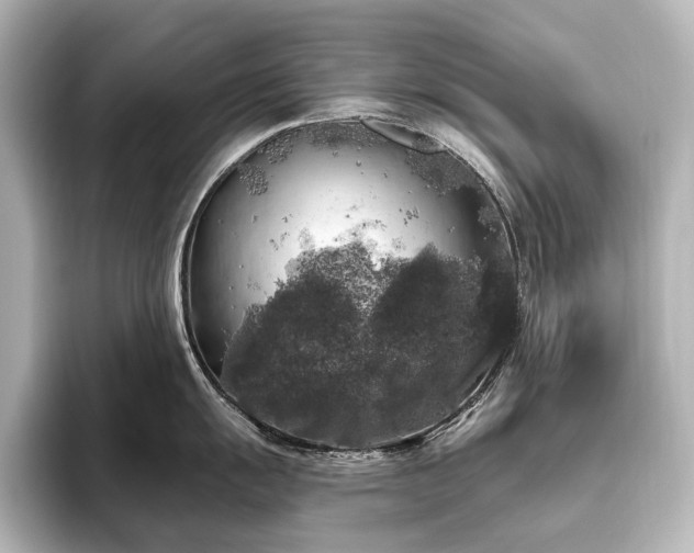 X0000096491055200801241500