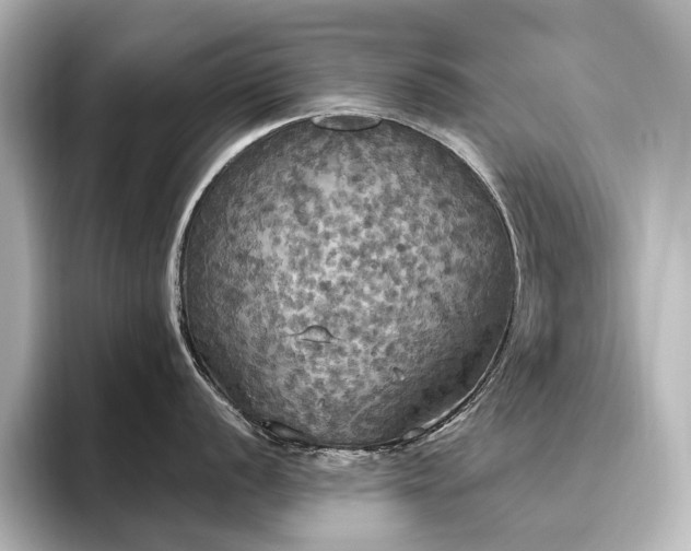 X0000096491056200801241500