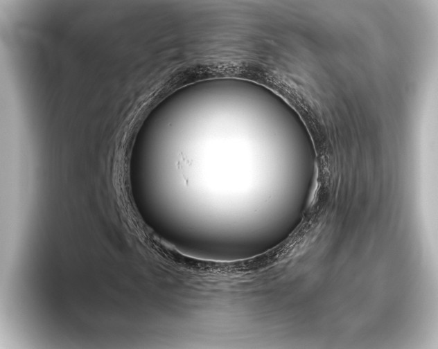 X0000096491057200801241500