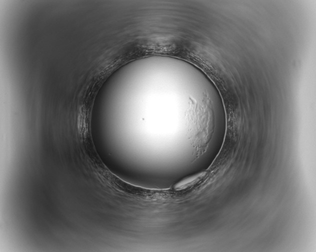 X0000096491058200801241500