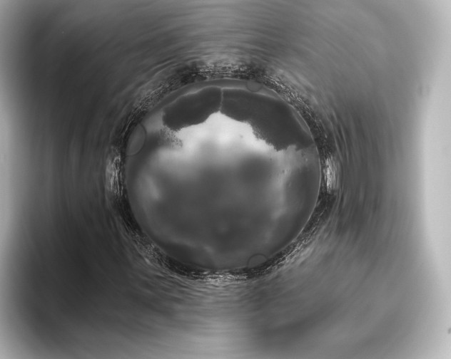 X0000096491059200801241500