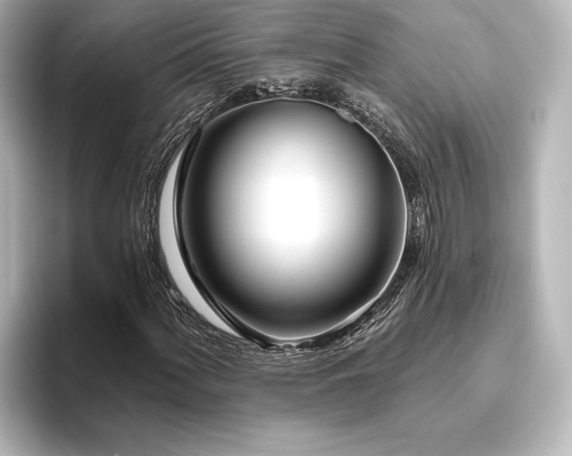 X0000096491060200801241500