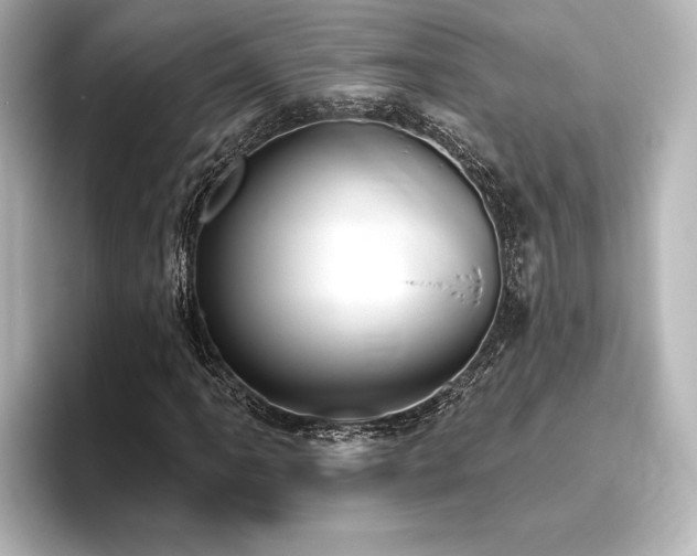 X0000096491061200801241500
