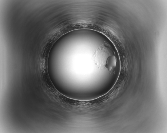 X0000096491062200801241500