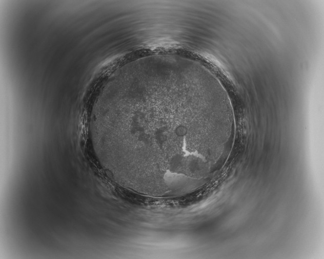X0000096491063200801241500