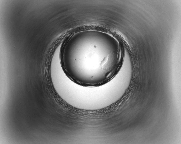 X0000096491064200801241500