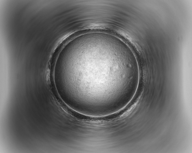 X0000096491066200801241500