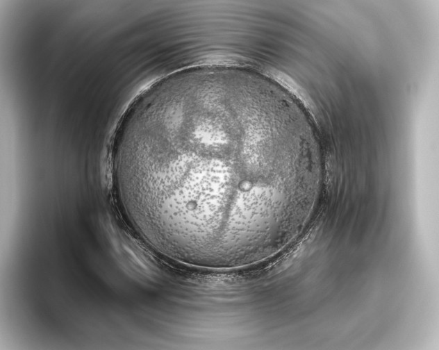 X0000096491067200801241500