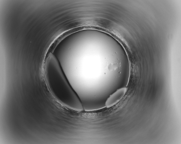 X0000096491068200801241500