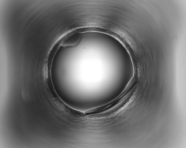 X0000096491069200801241500