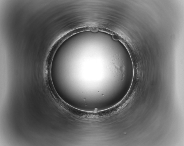 X0000096491070200801241500